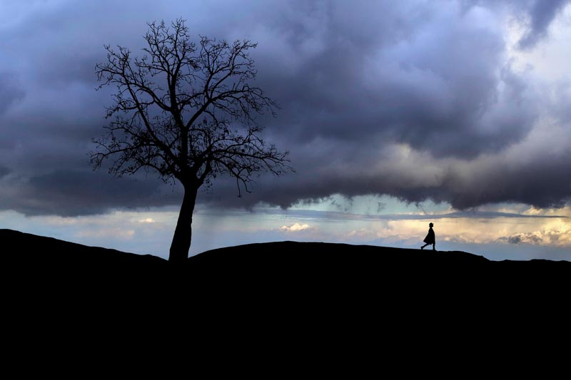 La soledad de la montana.
