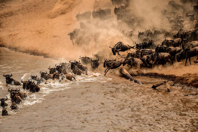 Wade through the water22