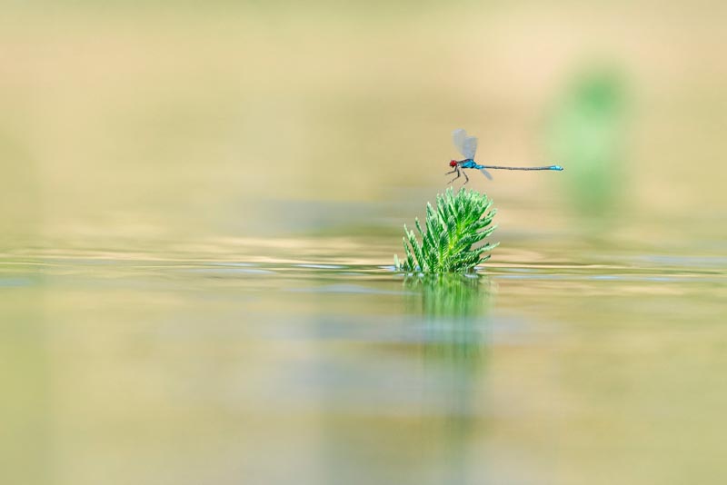 Atterrissage de précision