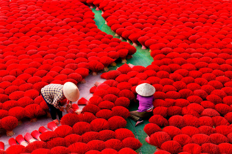 Surrounded by red bunches