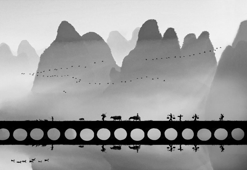 Music notes of the earth