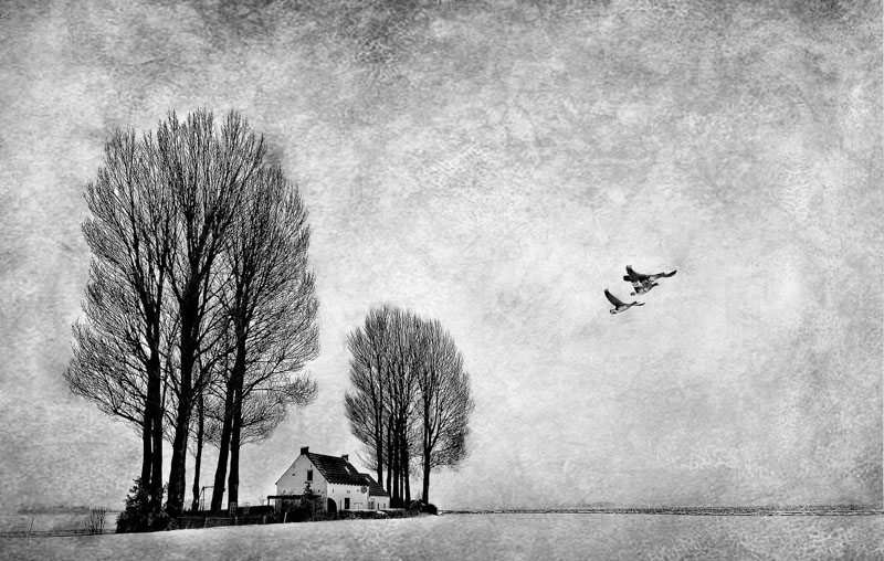 Vervlogen isendica 2 in zww