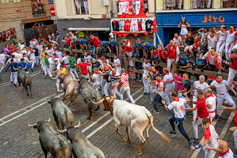 Bull running in pamplona 04