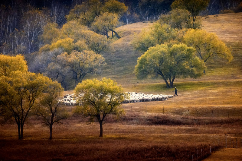 Autumn pastoral