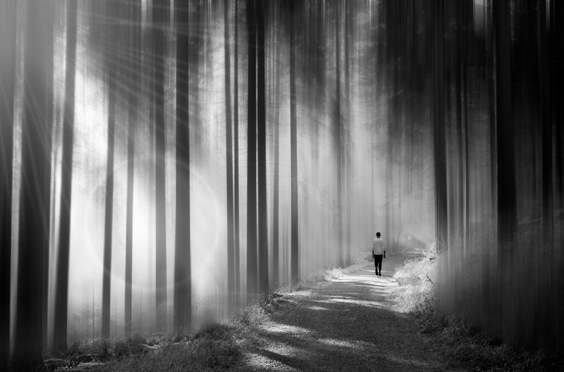 Der weg ins ungewisse