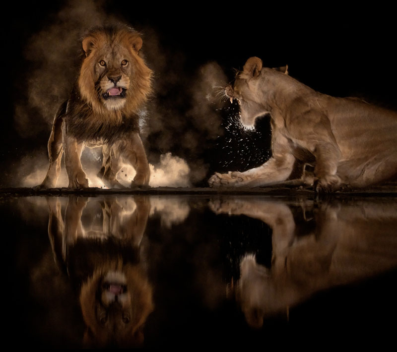 Beasts in natural world 5